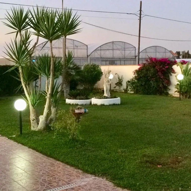 Prato con palme e paletti a sfera accesi davanti al muro di cinta