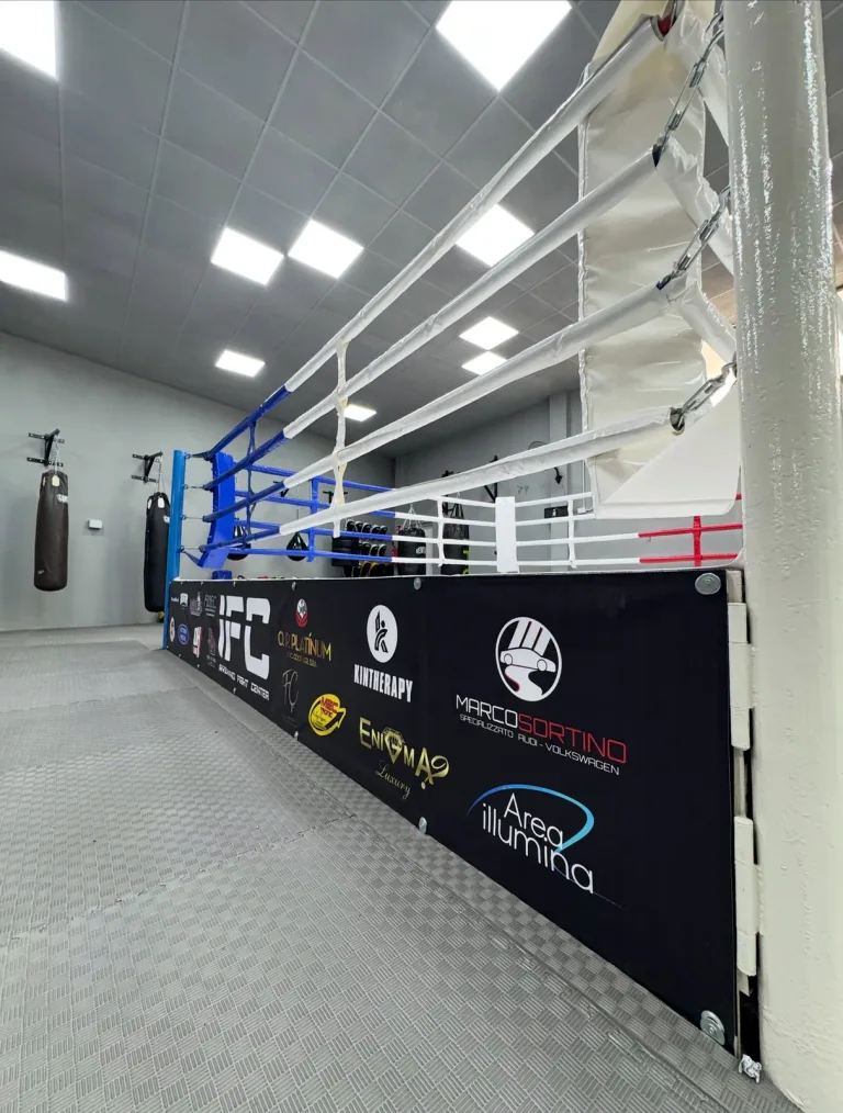 Bordo del ring con le protezioni e la sala illuminata sul fondo