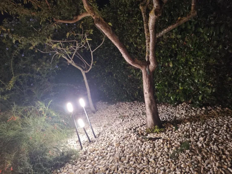 Paletti accesi tra i ciottoli sotto un albero