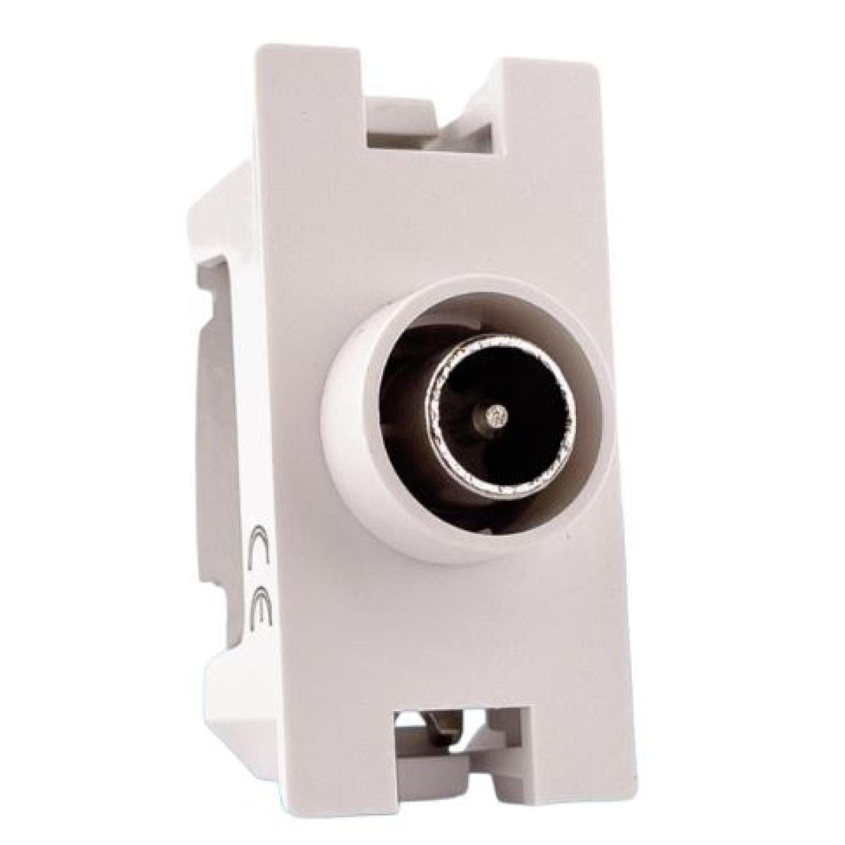 LIVING NOW TV PRESA COASSIALE MASCHIO DIR BIANCO