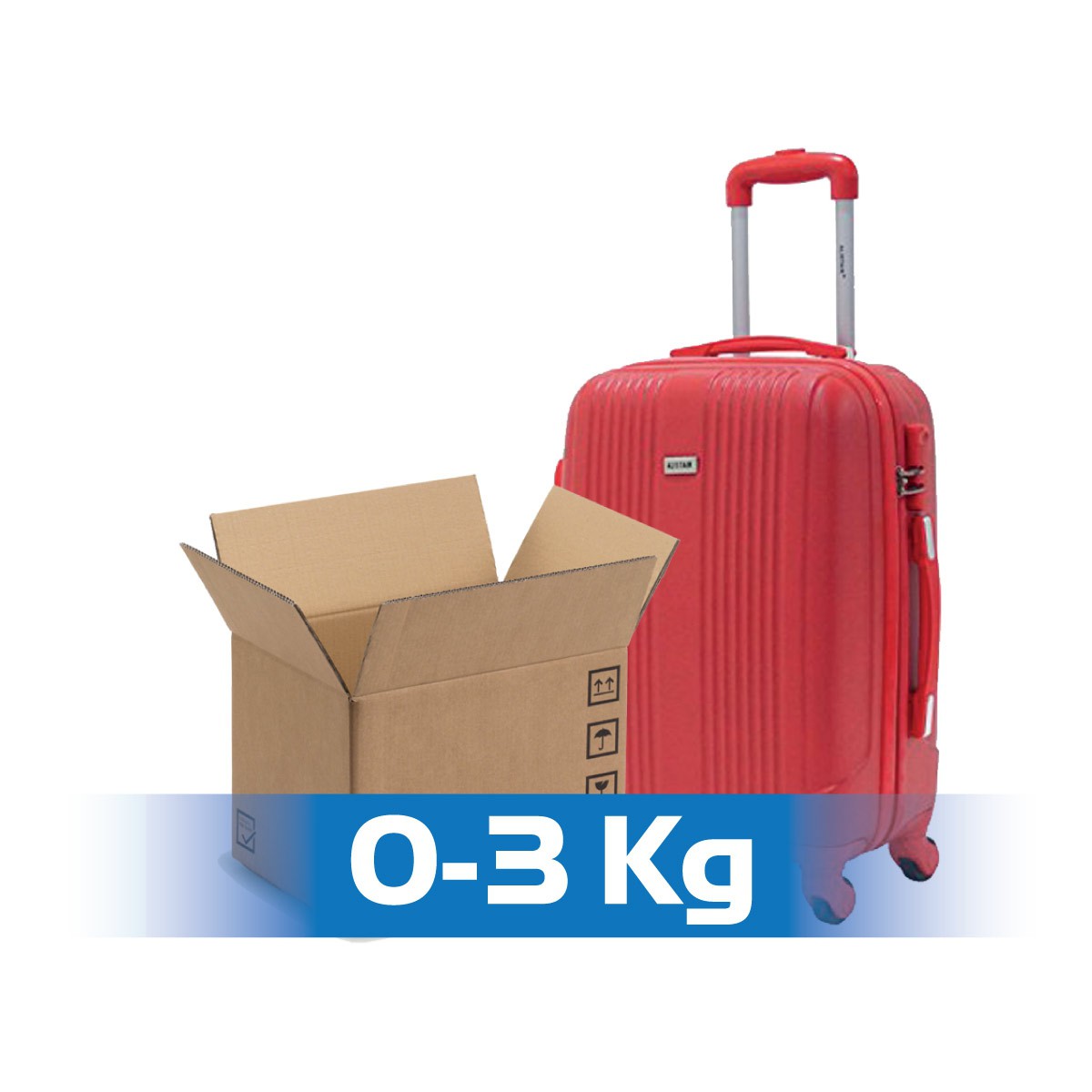 Spedizione in Italia 0-3 Kg