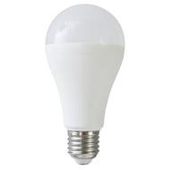 LAMPADA LED GOCCIA E27 15W 6500K LM1460 LIFE