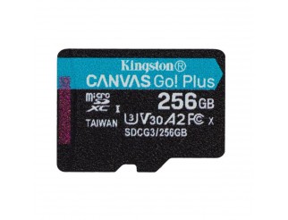 Kingston Technology  MICRO SD 256GB microSDXC Canvas Go Plus