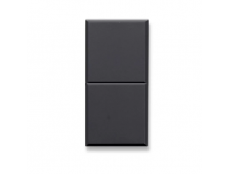 AVE Doppio pulsante, Tekla S44, colore grigio Tekla, 1P NA+1P NA 10A 250v 