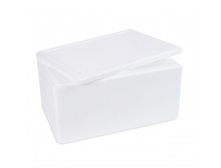 Box grande di Polistirolo Pacco Refrigerato